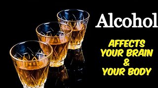 How Alcohol Affects your Brain and your Body