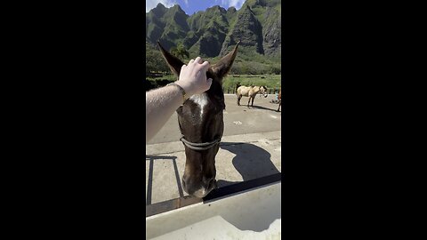 Kualoa Ranch