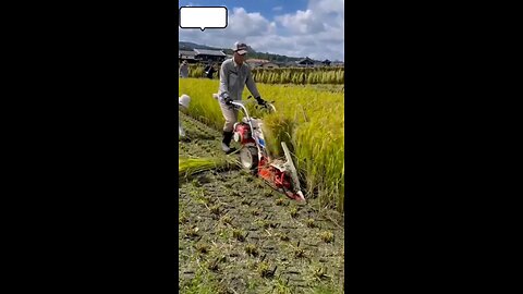 rice mini harvesting machine
