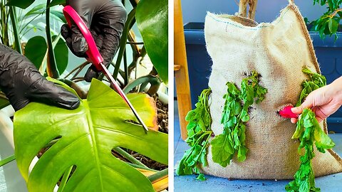 Smart Plant Hacks To Improve Your Gardening Skill
