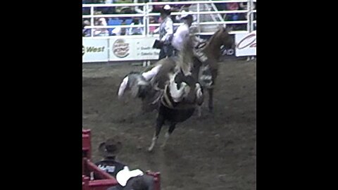 Rodeo Buck Riding head first into the ground