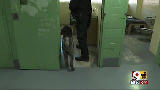 Dogs try to sniff out drugs at Hamilton County Justice Center