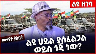 #Ethiopia ልዩ ሀይል ያስፈልጋል ወይስ ጎጂ ነው❓❗️ Wondimu Ibsa | Amhara | Fano | Special Forces|Abiy Apr-04-2023