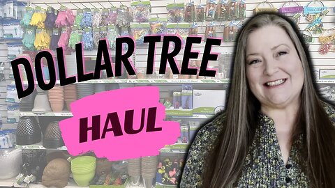 Dollar Tree Haul ~ New Indoor Garden, Fairy Garden, & New St.Patrick's Day Items That Rock!