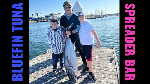 Trolling for BLUEFIN TUNA - Spreader Bar