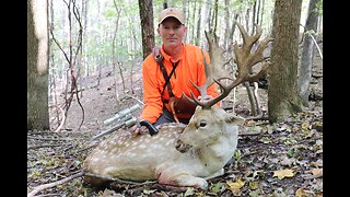 HANDGUN HUNTING - Handgun Hunting Fallow Deer With Freedom Arms M654