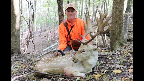 HANDGUN HUNTING - Handgun Hunting Fallow Deer With Freedom Arms M654