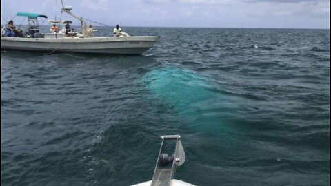 NTSB releases preliminary report on Bahamas helicopter crash that killed 7