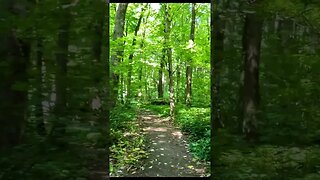 BANEASA Forest - Trailer, Bucharest - Ilfov | 4k Virtual Tour | #shorts