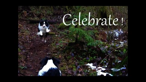 Taking You on a little Tree Bath walk as we celebrate another New Beginning Next Step 12.15.21