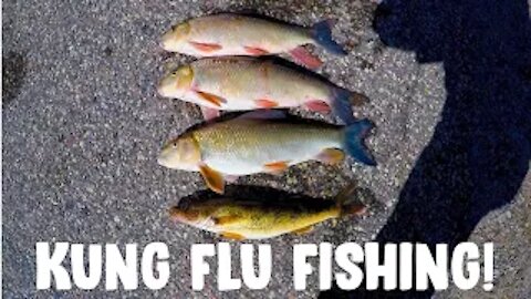 Kung Flu Fishing!