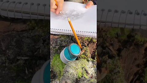 My favourite way to Calm down ￼(Make art in Nature)