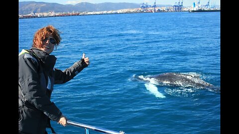 Fiona and the Humpback Whale