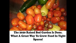 Raised Bed Garden Of 2020, The Final Update.