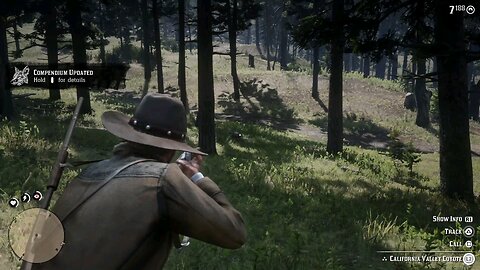 Hunting 14 - Red Dead Redemption 2