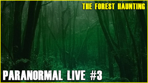 The Forest comes ALIVE | Paranormal LIVE #3
