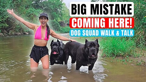 BIG MISTAKE Coming Here I Regret This! Dog Squad Walk & Talk