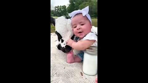 Baby girl Cuddling with Cow