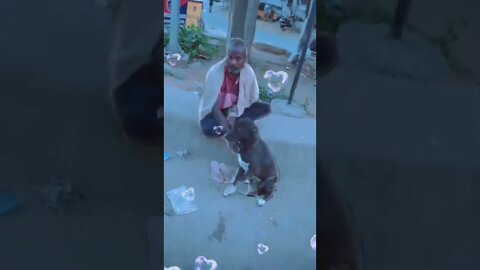 Love to street dog,#shorts#,#street dog video#, #dog video#,#animallove#