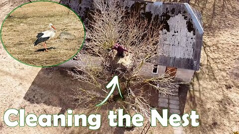 STORK Has Arrived + Cleaning the Nest