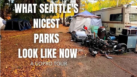 Seattle's Green Lake Park Rocked by Homeless Encampments | Is It Still Safe? (4K GoPro + Drone Tour)