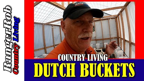Growing Tomatoes in a Dutch Bucket Hydroponic System