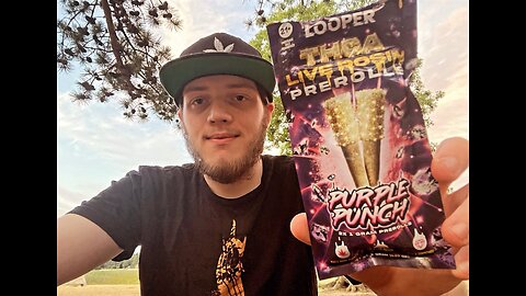 Reviewing LooperVerse Purple Punch Live rosin THCA Pre rolls 1 Gram !!!