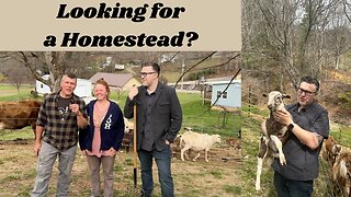 Looking for a Homestead in Western North Carolina?