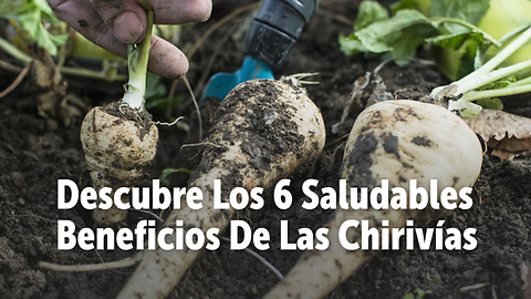 Descubre Los 6 Saludables Beneficios De Las Chirivías