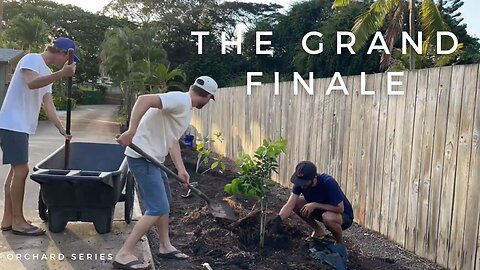 The Finale! Planting Trees in Our Backyard Orchard! | 04