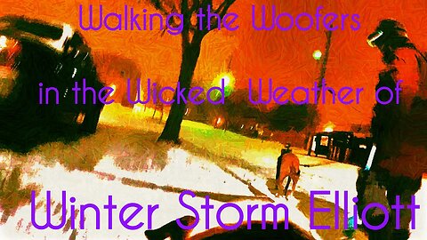 Walking the Woofers in the Wicked Weather of Winter Storm Elliott