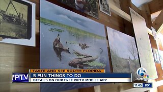5 fun things to do this weekend