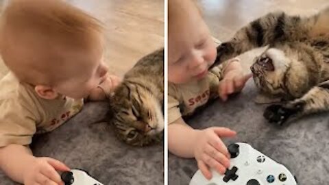 Hungry baby hilariously tries to bite cat's ear
