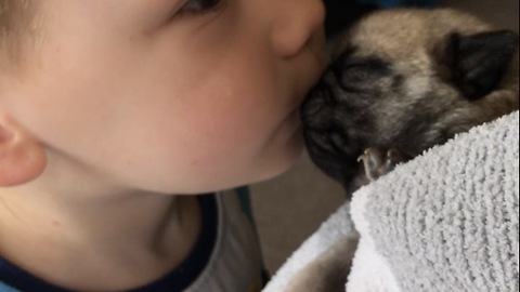 Little boy gives newborn pug a kiss