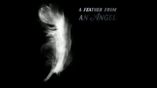 A feather from an angel [GMG Originals]