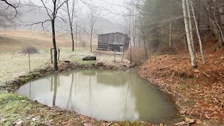 Restoring an old Pond