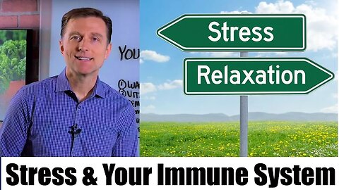 Stress & Your Immune System