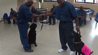 Michigan prison teams up with dog rescue group
