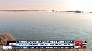 Increase in water replenishes groundwater supply
