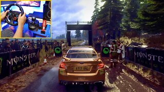 SUBARU WRX STI NR4 - DIRT RALLY 2.0 GAMEPLAY ( Steering Wheel G29 )