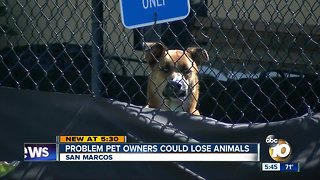 San Marcos to discipline "irresponsible pet owners"