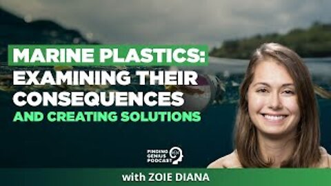 Marine Plastics: Examining Their Consequences And Creating Solutions