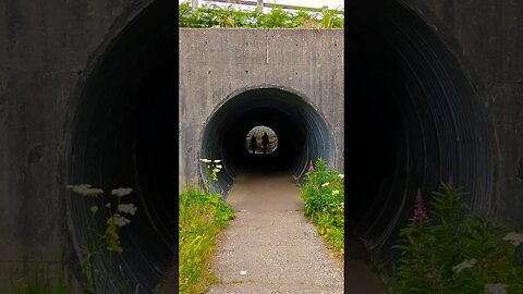 The Tunnel on The West Highland Way Scotland #westhighlandway