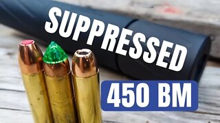 450 Bushmaster Suppressed 🤫🤫🤫 [Banish 46 Suppressor + Ruger American]