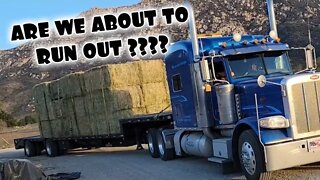 CALIFORNIA About To Have A Hay SHORTAGE ?? BAD NEWS For Livestock Owners, Time TO GET BUSY Part 1