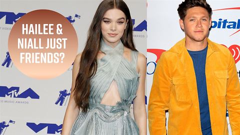 Hailee Steinfeld and Niall Horan are probably dating