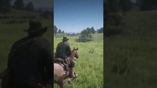 Daily dose rdr2#1