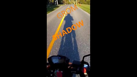 I saw my shadow on my Grom! And Emus!