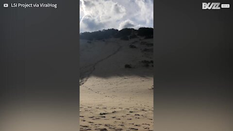 Guy makes flying leap off sandboard into sea after sliding down dune