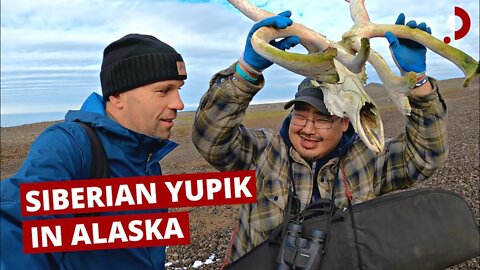 Siberian Yupik Culture on Private Alaskan Island (we found reindeer!) 🇺🇸